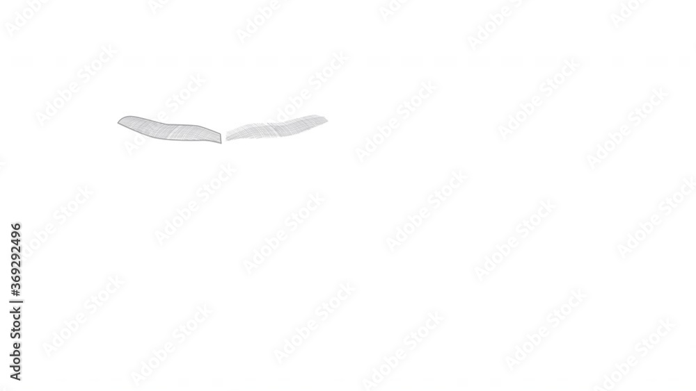 Self drawing animation of dragonfly. Copy space. White background. Self drawing animation of dragonfly. Copy space. White background.