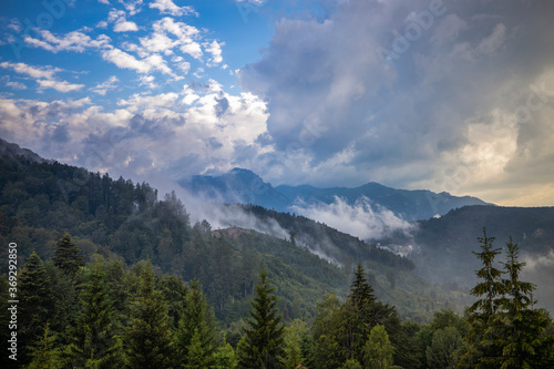 Beautiful landscape with pine forest in the mountains and clouds © czamfir