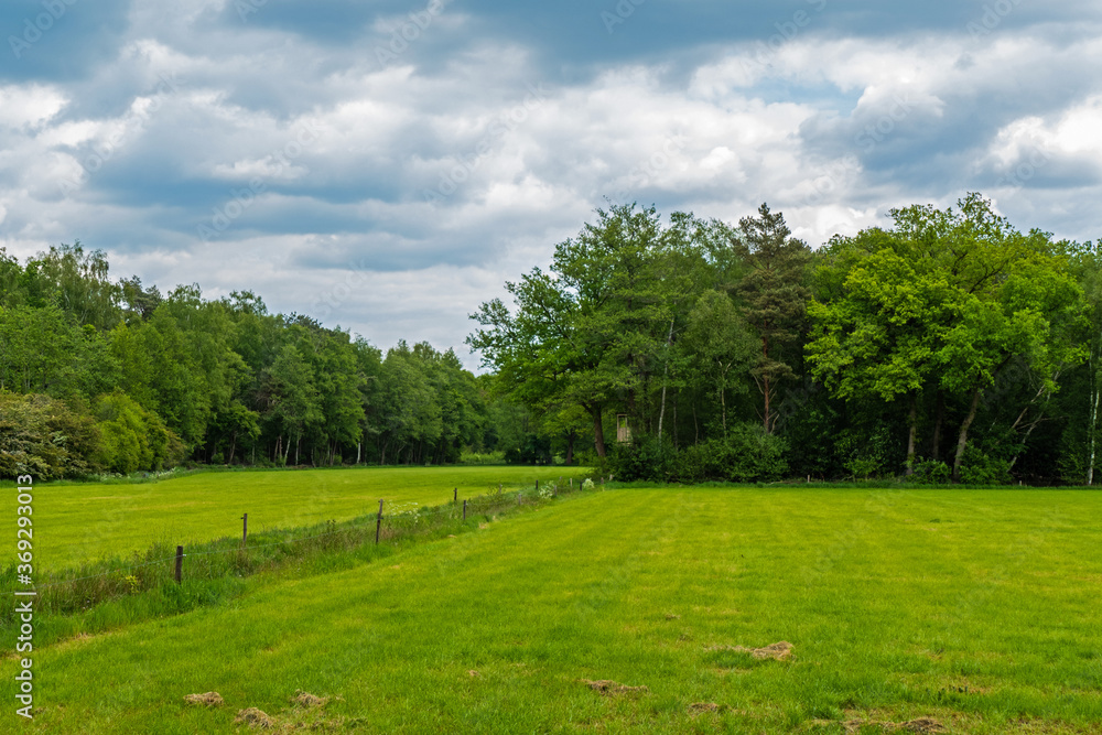 Naklejka premium Landscape with bird observation cabin near Almelo, Netherlands 