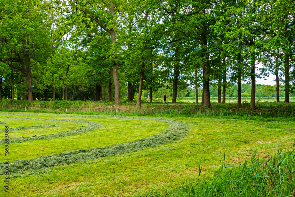 Rural landscape with drying hay near Almelo, Netherlands
