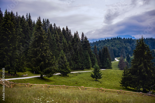 Beautiful landscape with pine forest in the mountains and clouds