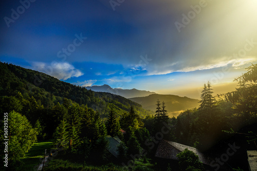 Beautiful landscape with pine forest in the mountains and clouds