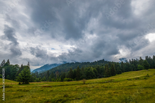 Beautiful landscape with pine forest in the mountains and clouds