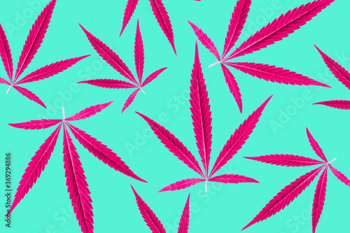 Phsycadelic Cannabis leaf background wallpaper. Colourful marijuana leaves for artistic uses. photo