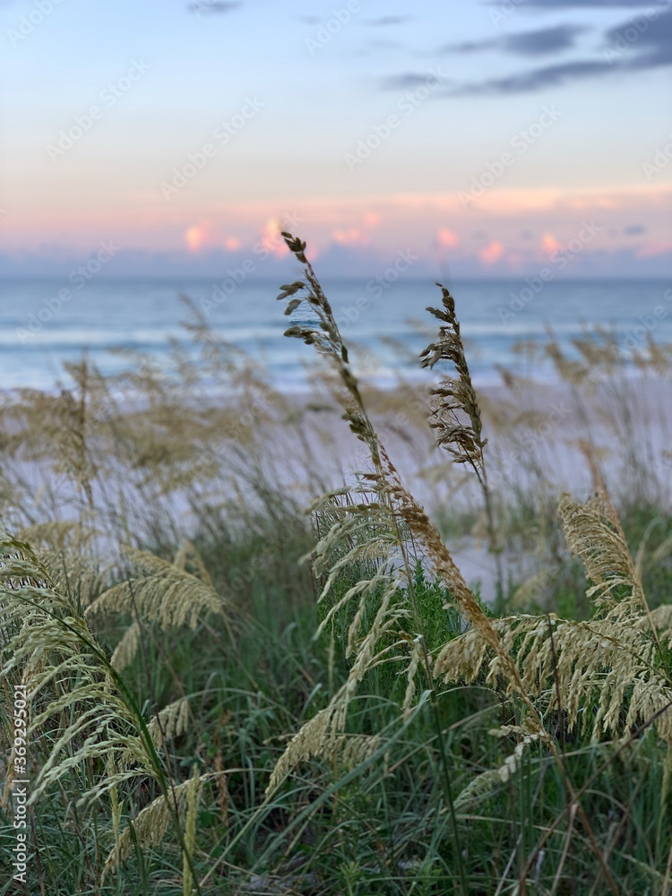 sunset on the beach