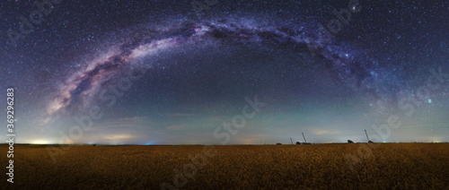 Wheat field under the stars. Harvest