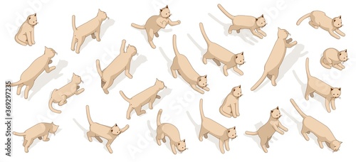 Cat isometric posing set. 3d domestic cat vector illustration. Cartoon Kitten walking sitting play and other.