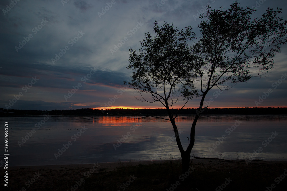 Tree on the river bank against the background of sunset Tree on the river bank against the background of sunset