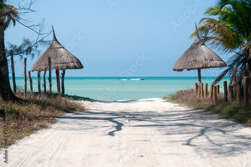 Narrow coastal path of sand leads to a deserted beach with palm trees and in the background the Caribbean Sea of Holbox Island, Mexico. The ideal image for backgrounds © Marco B.
