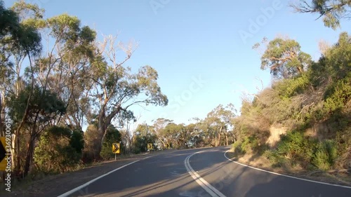 POV forward drive on road among trees at sunset in Australia