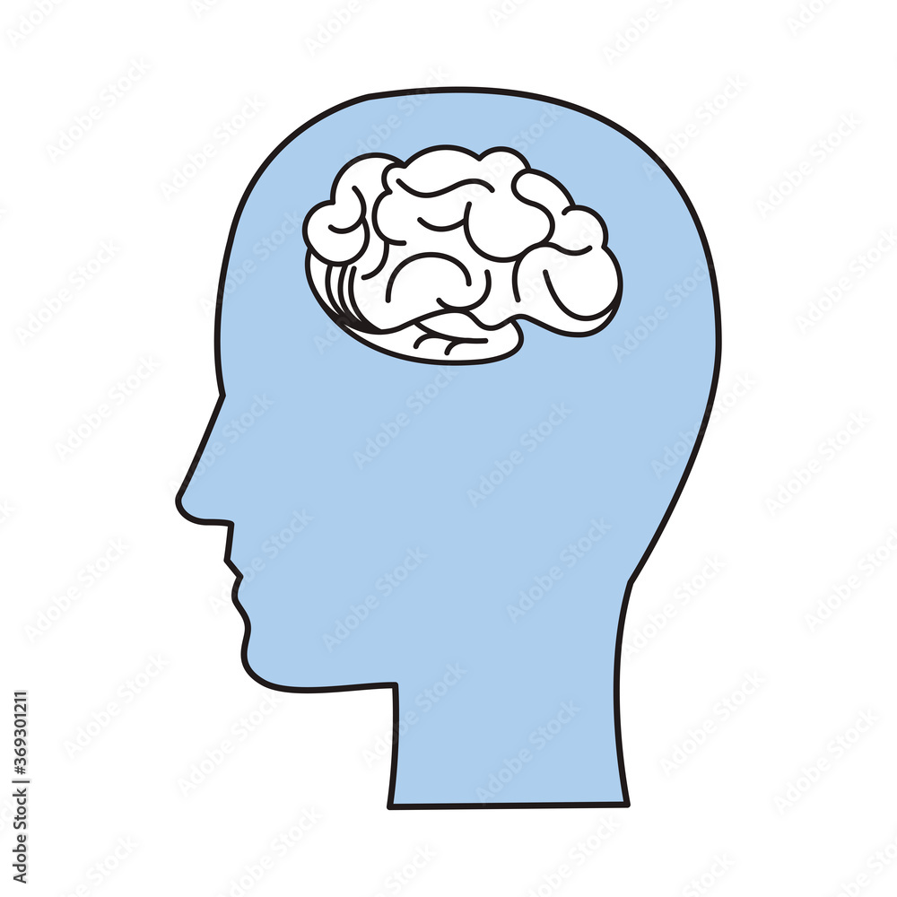 profile with brain human organ profile with brain human organ