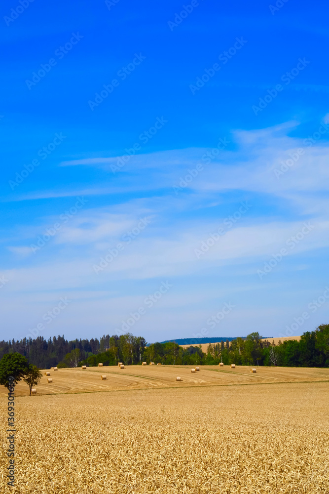 Fototapeta premium Sommerlandschaft