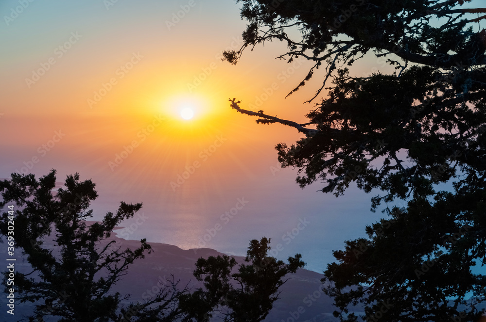 View of the sea sunset through the juniper trees, Cyprus, Troodos View of the sea sunset through the juniper trees, Cyprus, Troodos