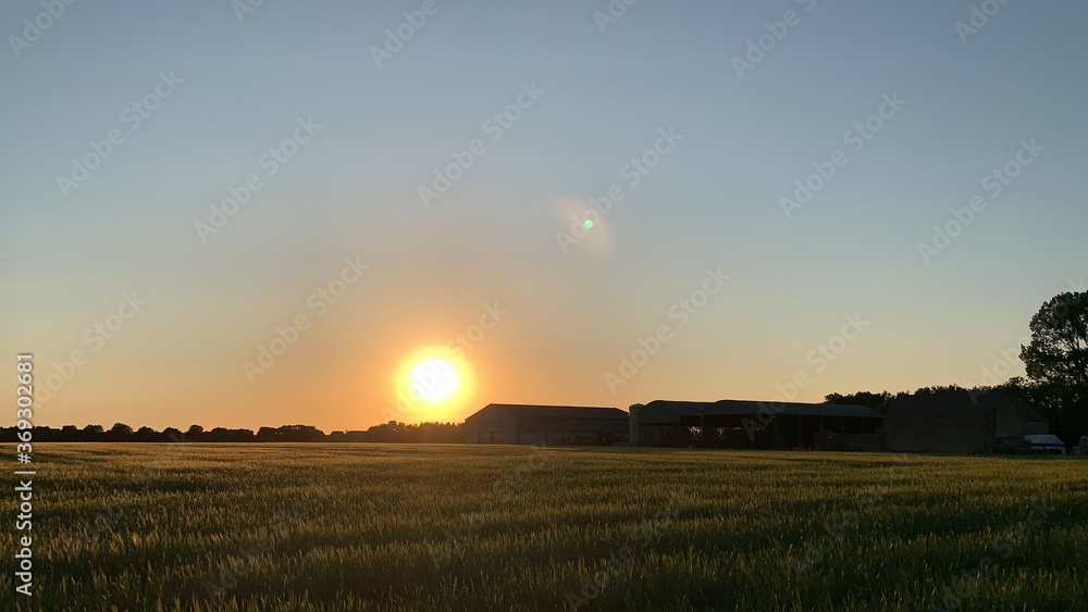 Obraz premium Sunset over a farm