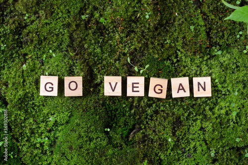 the words go vegan. The words go vegan is written on a green background of moss. The view from the top. Banner