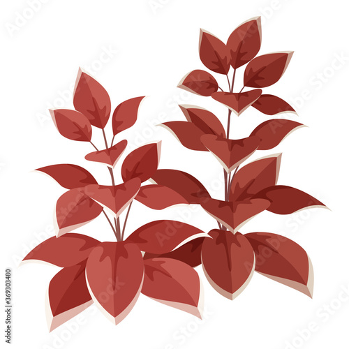 恐竜時代の植物のイラスト_先史時代_太古_赤い葉
