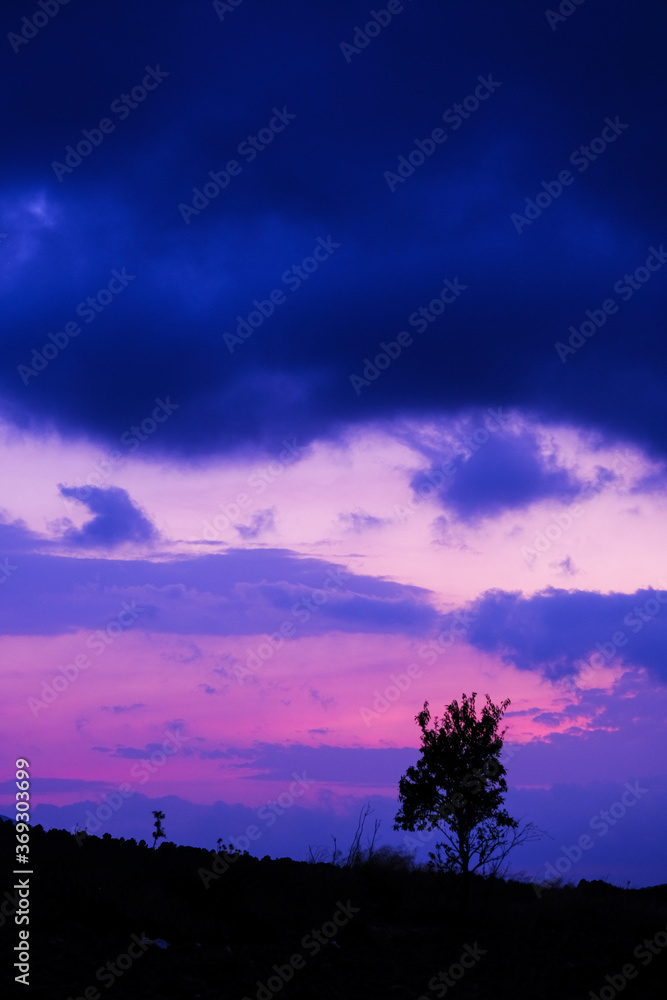 Little tree silhouette against the clouds during the twilight after the sunset