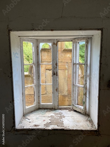 Window