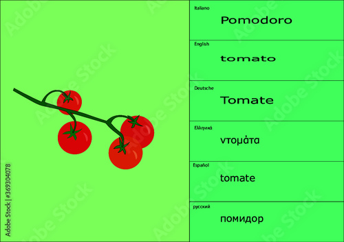 pomodoro esempio di tovaglietta segnaposto sottopiatto placemate scheda studio da collezionare per gioco scuola infanzia photo