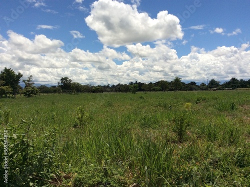 sunny day in the countryside