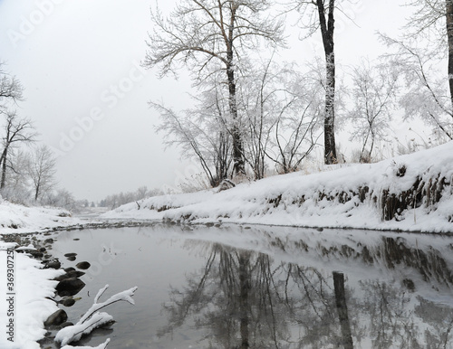 Winter reflection on pond