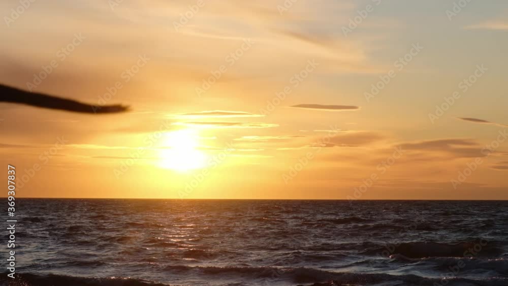 Seagulls silhouettes flying in slow motion close to camera with sea at the background at sunset Seagulls silhouettes flying in slow motion close to camera with sea at the background at sunset