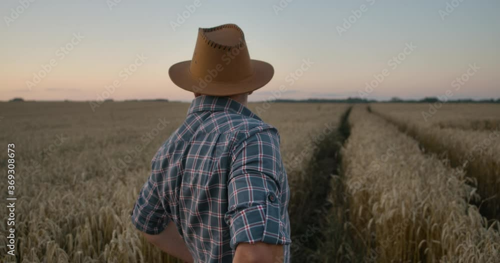 Corona Virus Face Mask Covid-19. Portrait Caucasian Farmer Man in Plaid Shirt in Hat and Looking. Farmer Man in Face Mask for Covid-19 Standing in Wheat Field. Farm Worker. Epidemic Coronavirus. Corona Virus Face Mask Covid-19. Portrait Caucasian Farmer Man in Plaid Shirt in Hat and Looking. Farmer Man in Face Mask for Covid-19 Standing in Wheat Field. Farm Worker. Epidemic Coronavirus.
