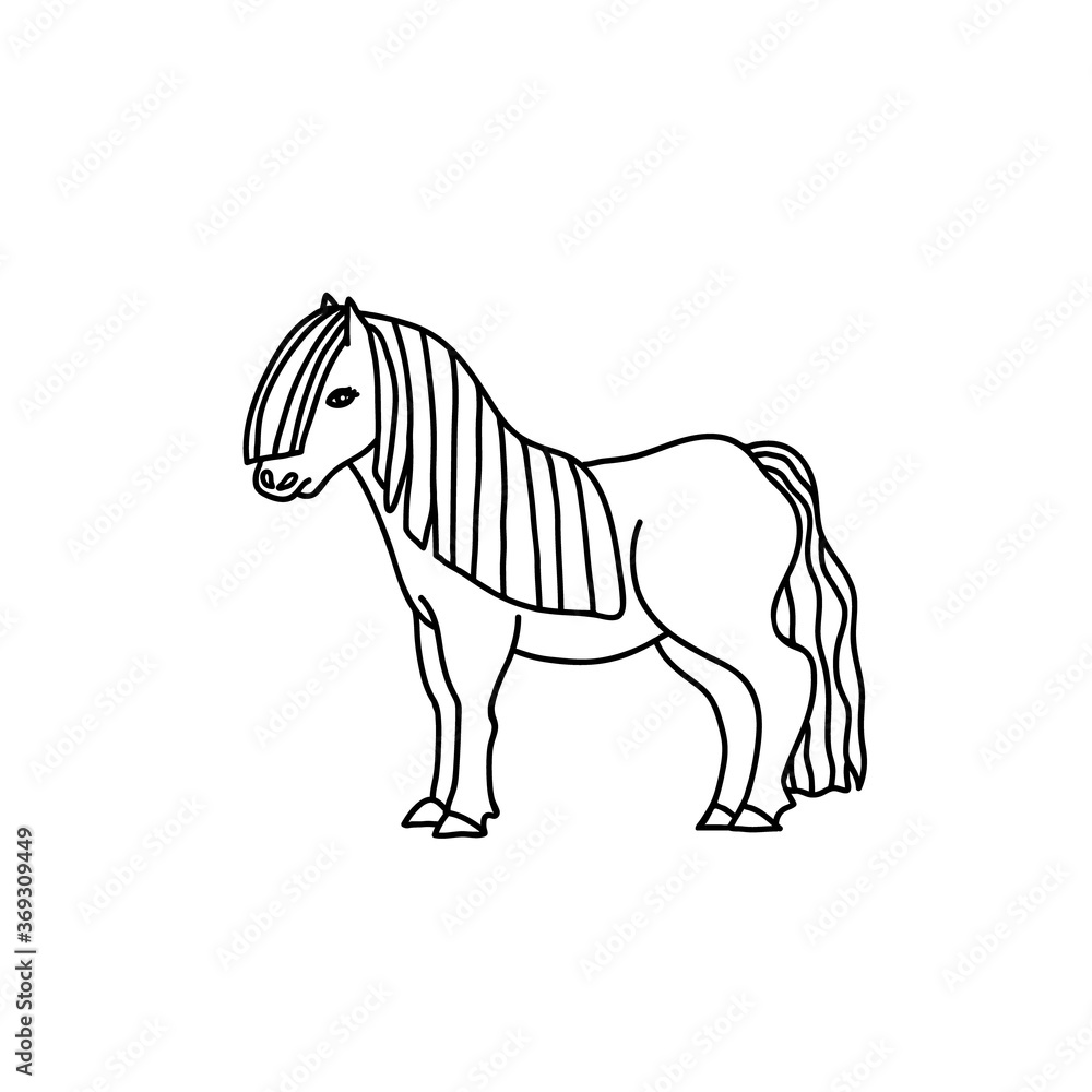 Little cute pony horse, standing. Vector drawing of farm animal. Simple line illustration. Little cute pony horse, standing. Vector drawing of farm animal. Simple line illustration.