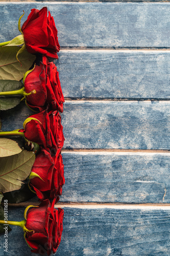 Five red roses on a blue wooden background.