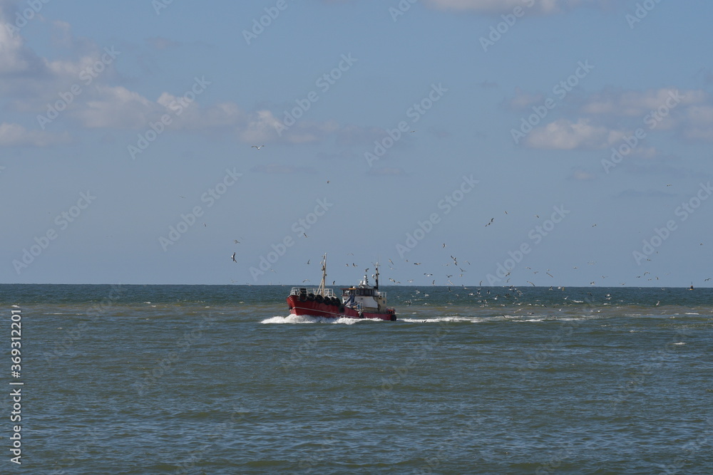 Ein rotes Schiff mit zwei Passagieren fährt auf das Meer umflogen von unzählige Möwen. Das Wasser ist ruhig, der Himmel ist blau mit wenige weiße Wolken.
