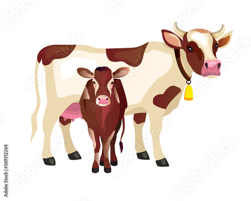 Vector calf and cow farm illustration in flat style isolated on white. Mother cow with her little spotty baby. Domesticated farming animals in cartoon style for labels, packages, dairy products