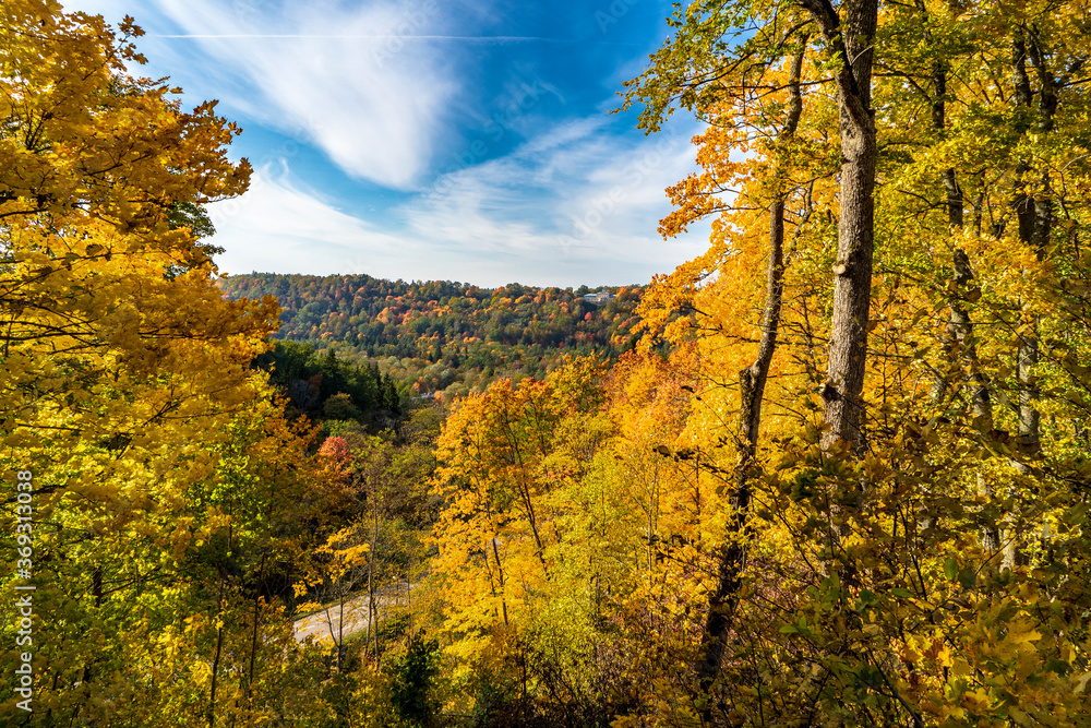 Fototapeta premium Gauja National Park in the Autumn