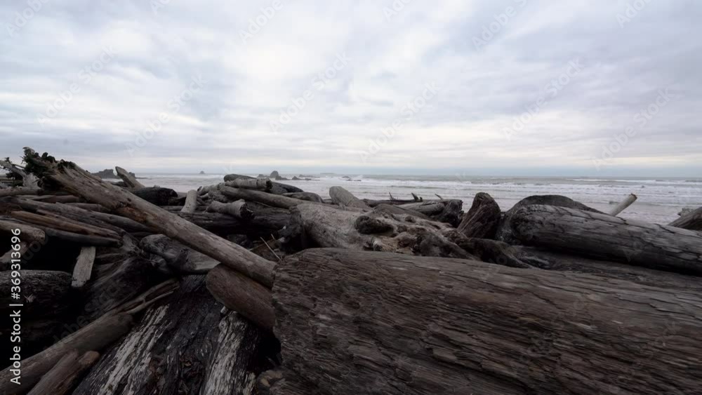 Tracking shot of coastal driftwood at Ruby Beach in Oregon coast Tracking shot of coastal driftwood at Ruby Beach in Oregon coast