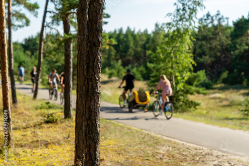 People riding on a bicycle path in pines park by the sea. Vacation and lifestyle concept