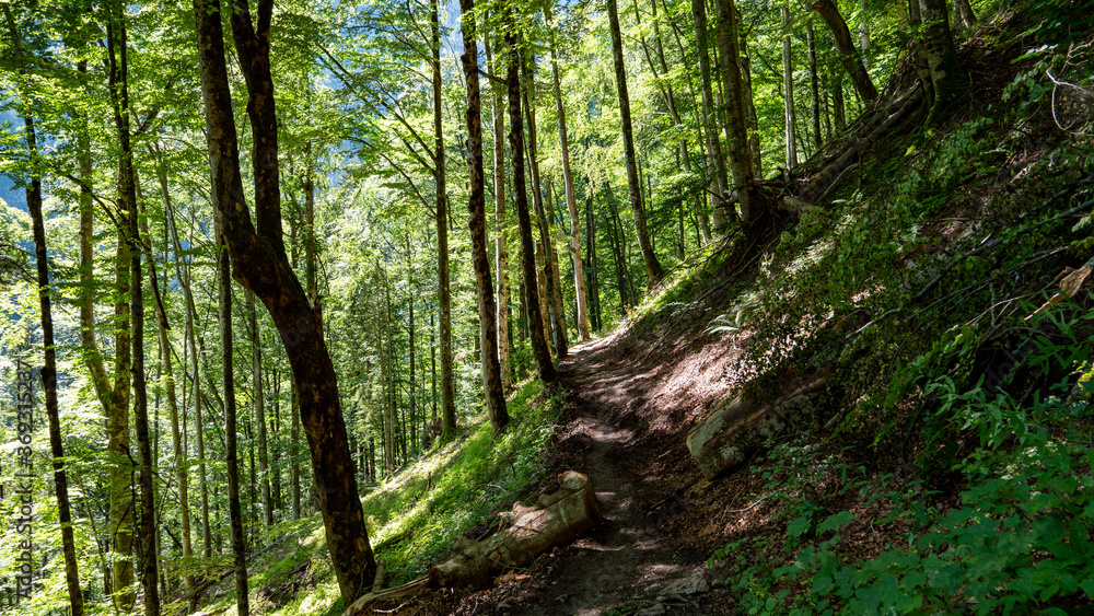 The impressive gorge of the Höllental