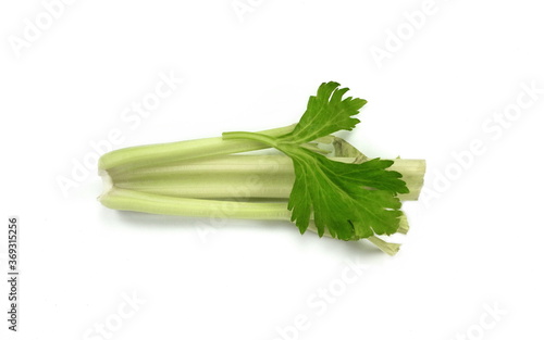 Fresh organic green celery isolated on white background