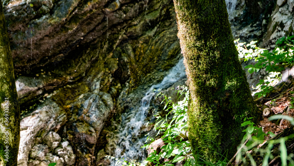 german, germany, bavaria, bayern, bavarian, alps, mountains, stream, water, waterfall, gorge, klamm, clear, sunny, nature, scenery, scenics, rock, german, germany, bavaria, bayern, bavarian, alps, mountains, stream, water, waterfall, gorge, klamm, clear, sunny, nature, scenery, scenics, rock,
