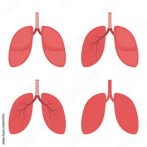 Lungs vector design illustration isolated on white background
