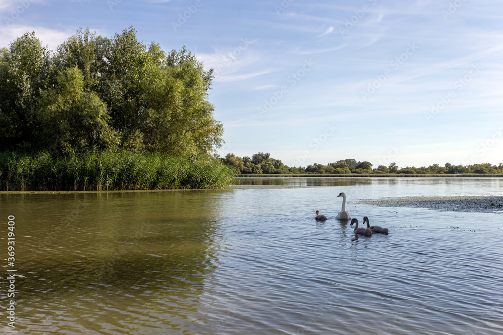 Lake Tisza at Poroszlo