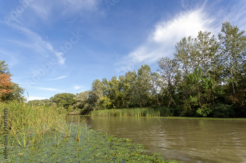 Lake Tisza at Poroszlo photo