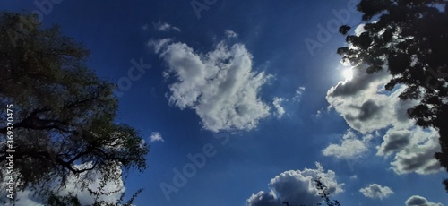 Sun Behind White Clouds Seen Through Tree