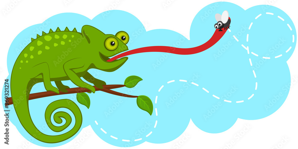 Obraz premium Chameleon sits on a branch and catches a fly