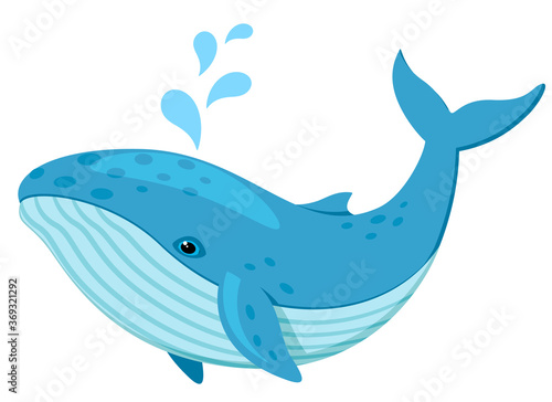 Blue whale on a white background. Undersea world