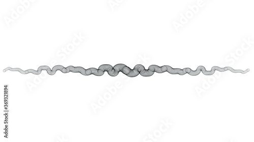 Circle lines in tunnel form. round logo . vector blend tool  pipe . tube design element
