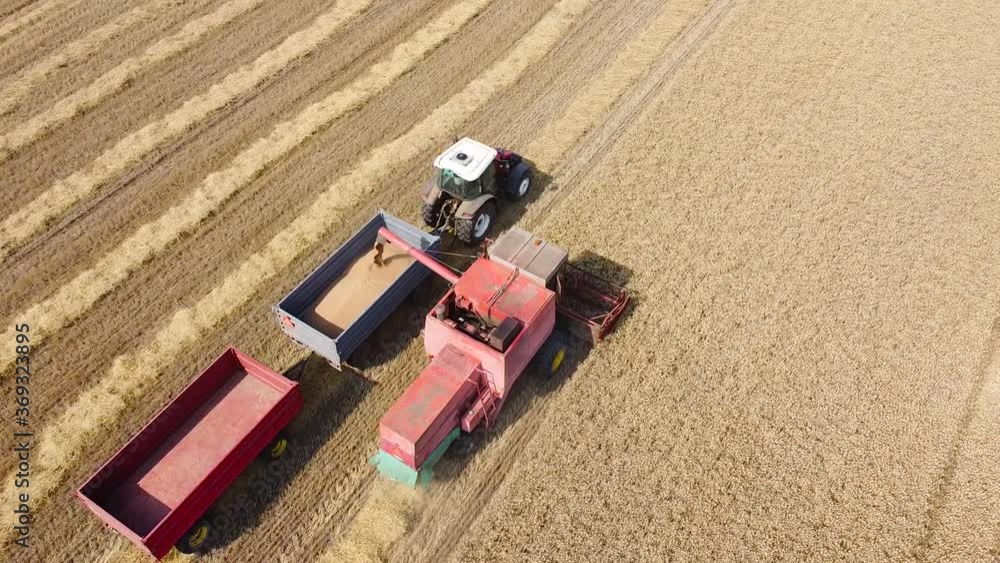 Aerial view of wheat harvest. Wheat harvesting shears. Combines in the field. Aerial view of wheat harvest. Wheat harvesting shears. Combines in the field.