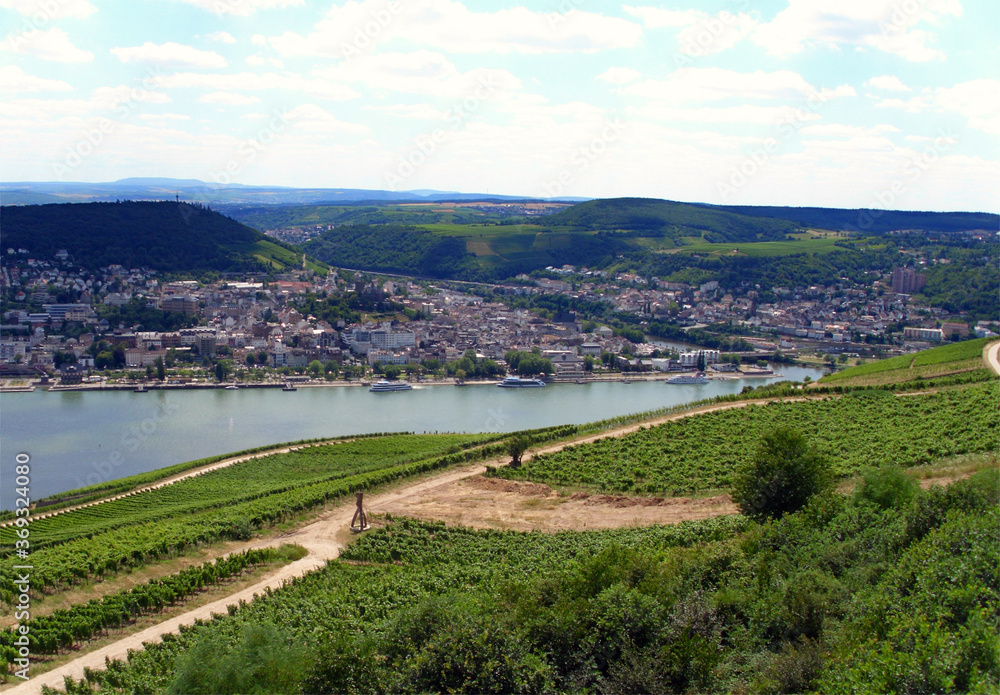 View of Rhine from Rüdesheim am Rhein Memorial
