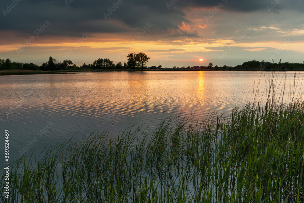 Sunset and dark clouds over a peaceful lake with green reeds