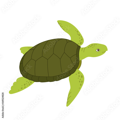 Cartoon sea turtle on a white background. Cute marine turtle. Animal icon. Vector illustration of happy sea turtle. Graphic design for children book, textile, t-shirt.