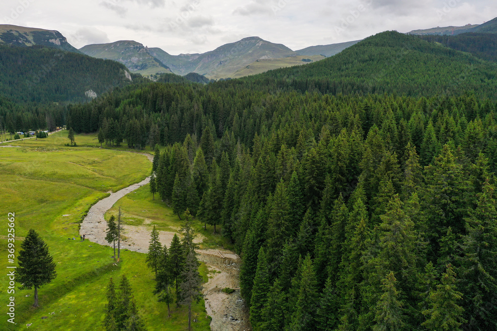 Drone photograph over a mountain river and a pine tree forest in Bucegi Mountains, Romania.