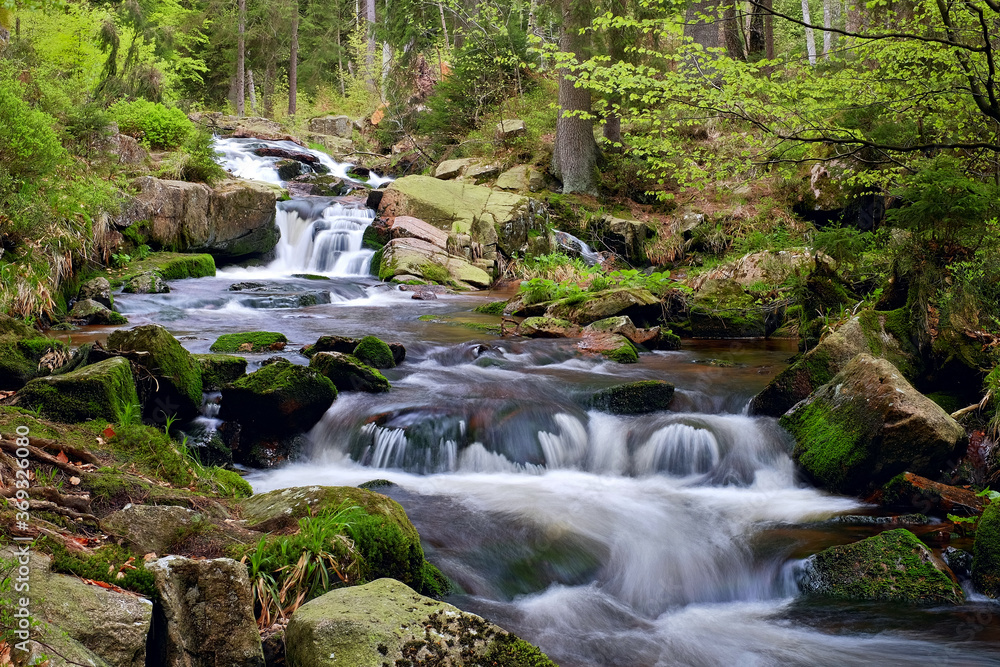 Obraz premium Bach mit Wasserfall strömt über Felsen im Wald im Harz Langzeitbelichtung